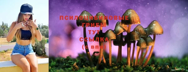 прущие грибы Алзамай