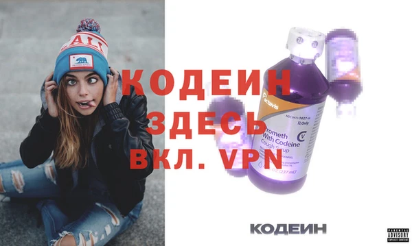 соль ск Пересвет
