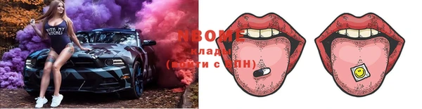 прущие грибы Алзамай