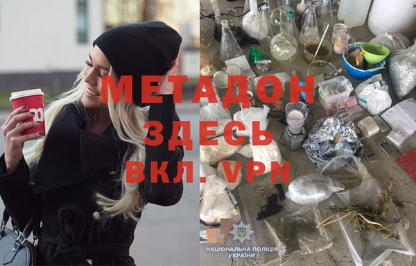 прущие грибы Алзамай