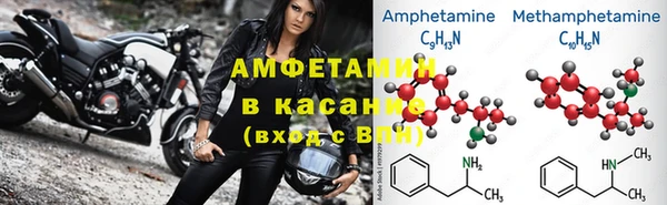 прущие грибы Алзамай