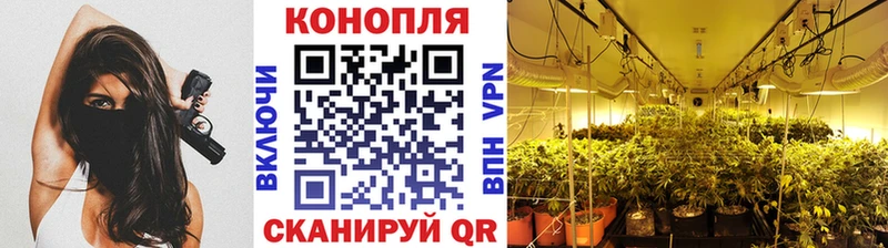 Бошки Шишки индика  Суровикино 